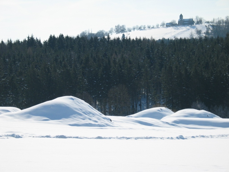 Waldweg