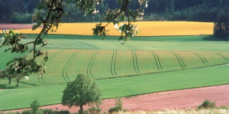 Blick auf Felder